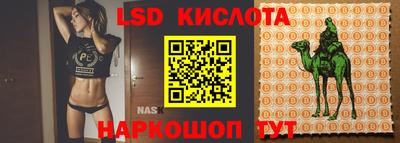 Альфа ПВП Бийск