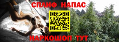 кокс Дубна
