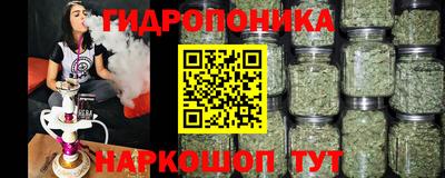 Альфа ПВП Бийск