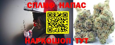 PSILOCYBIN Берёзовский