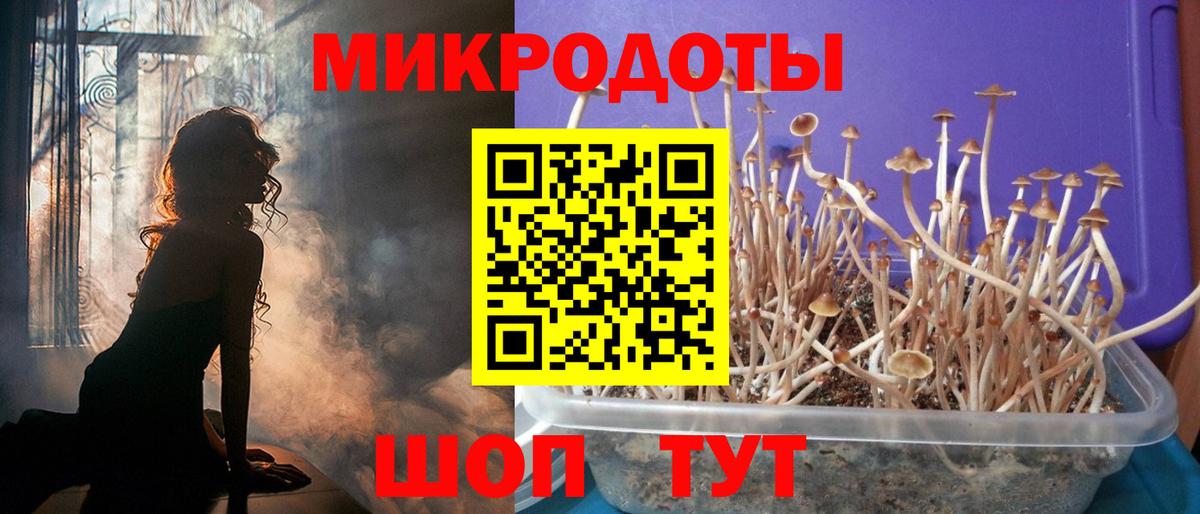 Псилоцибиновые грибы Psilocybe  Вход с VPN  Вологда 