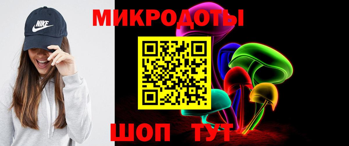 Галлюциногенные грибы Psilocybe  Вологда 