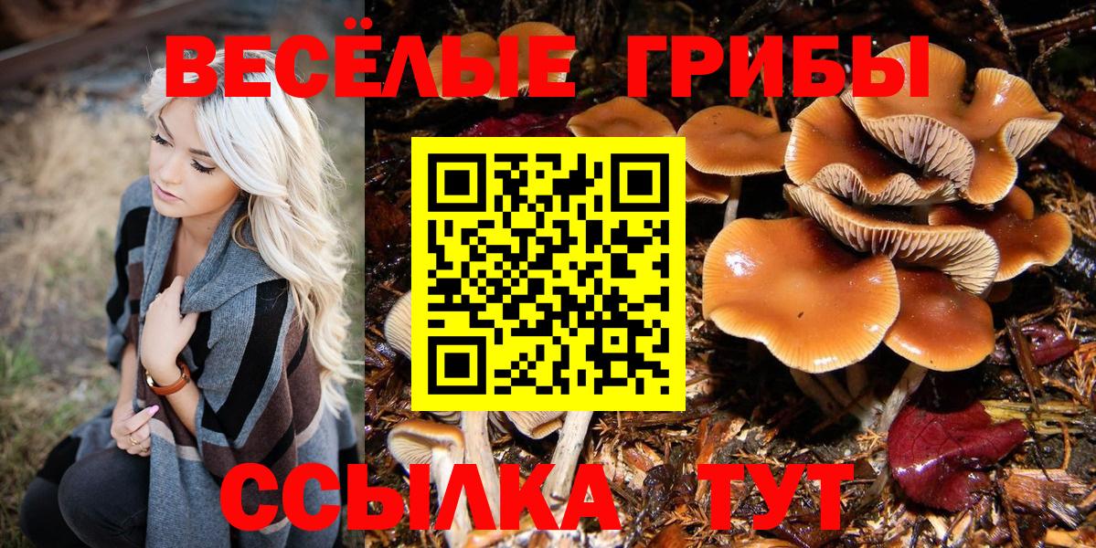Псилоцибиновые грибы Psilocybine cubensis Вологда