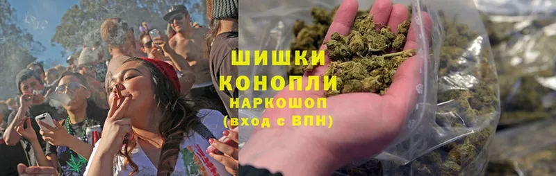 Каннабис OG Kush  Вологда 